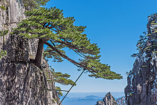 黄山风光