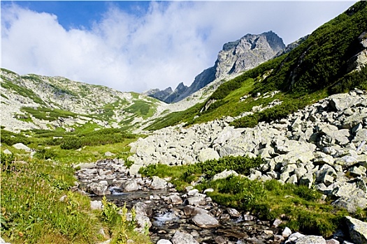 寒冷,山谷,高塔特拉,斯洛伐克