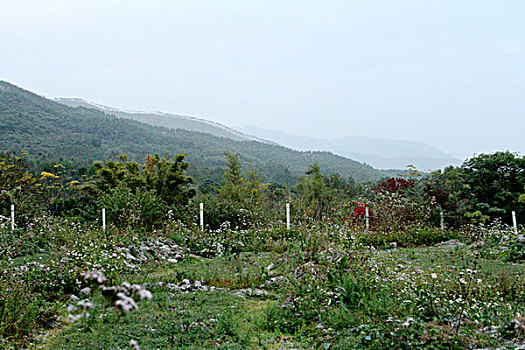 广东恩平石头村