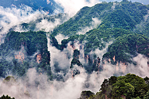 湖南,张家界,峰林,云雾