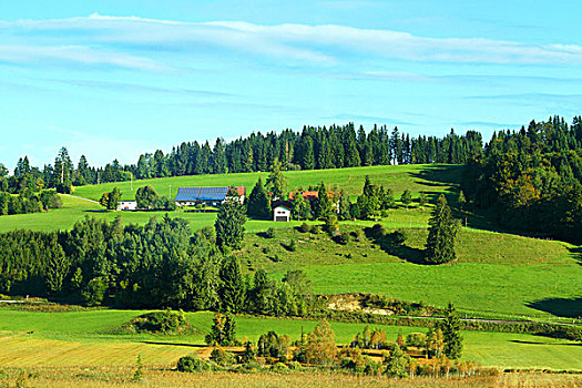 瑞士农庄