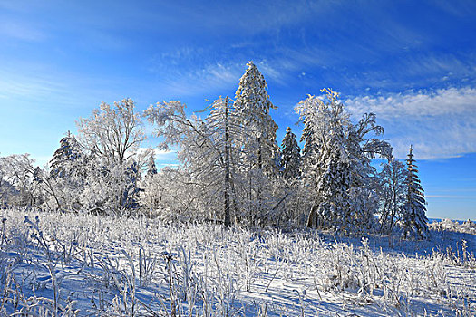 长白山下林海雪原