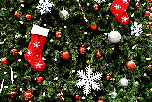 北美,圣诞装饰,树上