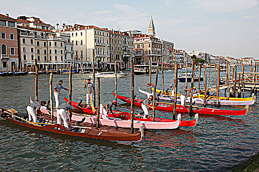 意大利,威尼斯,大运河,比赛,小船,人
