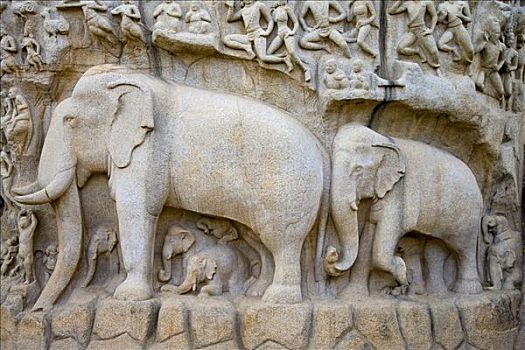 大象石雕,花冈岩,雕刻,马哈拉里普林,世界遗产,泰米尔纳德邦,印度