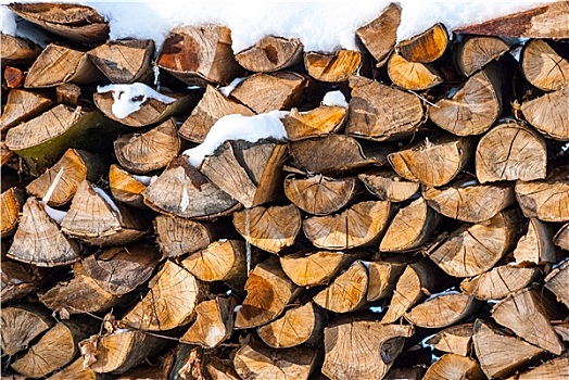 一堆,木头,松树,木料,冬天