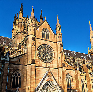 悉尼,老式,建筑,大教堂,教堂