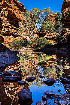 伊甸园,国王峡谷,国家公园,北领地州,澳大利亚