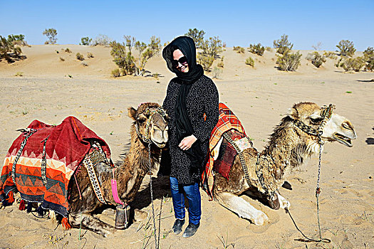旅游,休息,骆驼,荒芜,瓦地伦,靠近,伊朗,亚洲