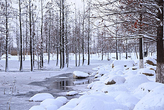 雪景