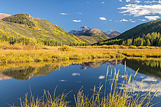 美国,犹他,国家森林,山,河,风景,画廊,大幅,尺寸