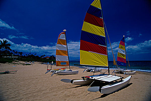 双体船,海滩,毛伊岛,夏威夷,美国