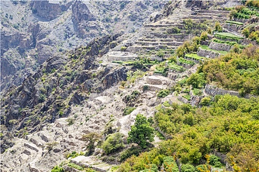 阿曼,高原