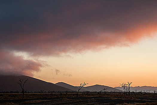 第一,晨光,日出,索苏维来地区,纳米布沙漠,纳米比沙漠,公园,纳米比亚,非洲