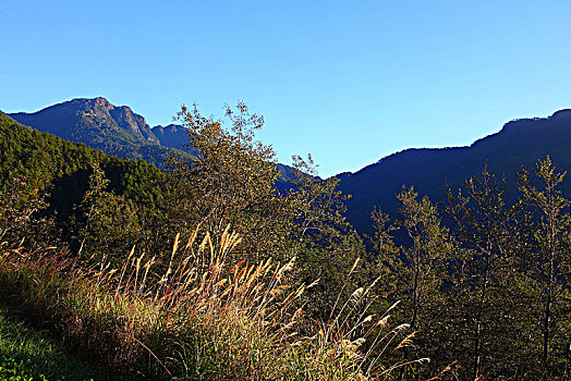 风景