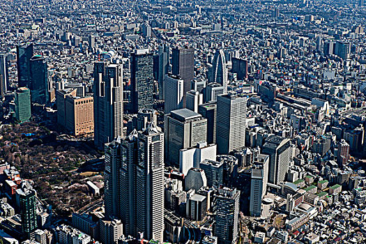 东京,城市,政府,新宿