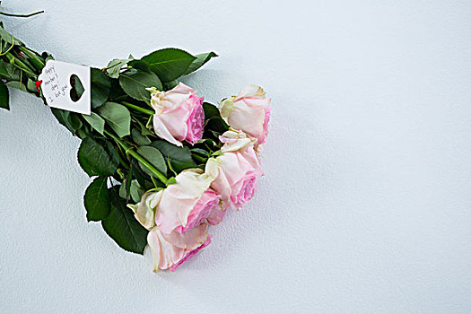 束,粉色,玫瑰,高兴,母亲节,标签,白色背景,背景