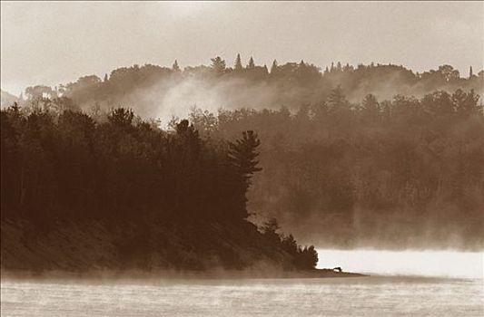 晨雾,湖,魁北克,加拿大