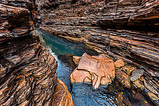 蜘蛛,走,峡谷,卡瑞吉尼国家公园,西澳大利亚州,澳大利亚