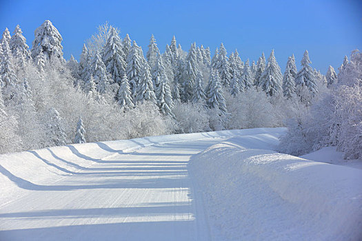 东北林海雪原积雪的公路