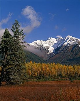 秋天,风景,顶峰,靠近,阿拉斯加
