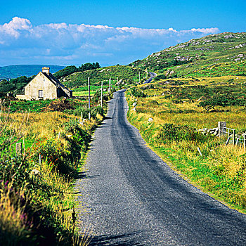 乡间小路,屋舍,半岛,科克郡,爱尔兰
