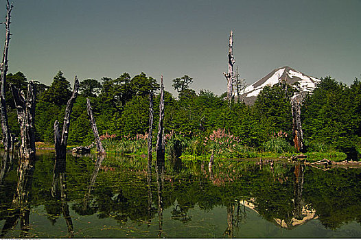 火山,泻湖,国家公园,智利
