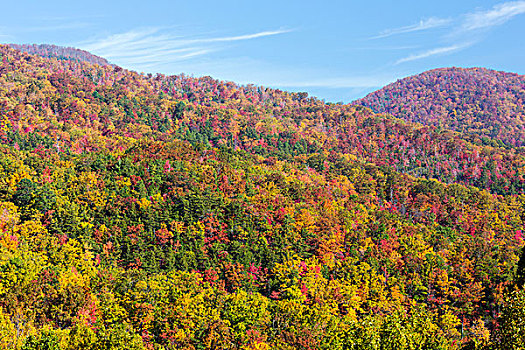 田纳西,大烟山国家公园,风景,间隙,道路