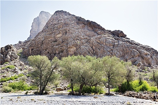 风景,阿曼