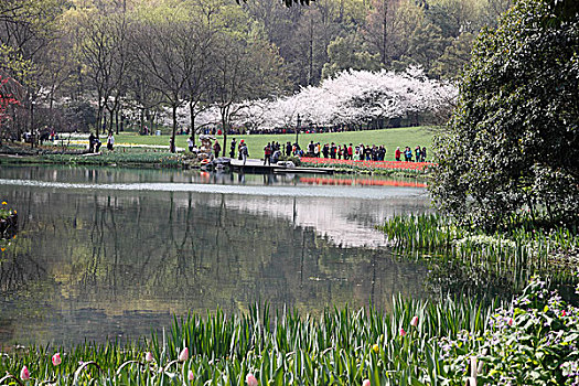 杭州太子湾公园风景