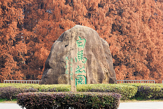 南京市白马公园红杉林前的石刻