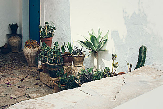 福门特拉岛,花盆,墙壁,房子