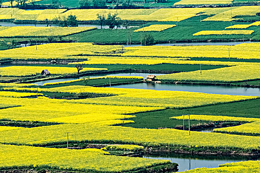 安徽省芜湖市响水涧油菜花田园乡村自然景观