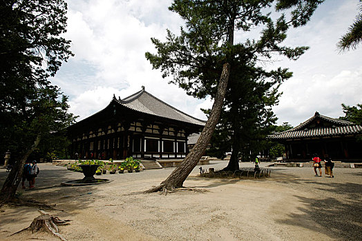 日本,奈良,唐招提寺