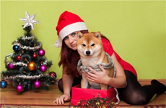 美女,小狗,圣诞装饰