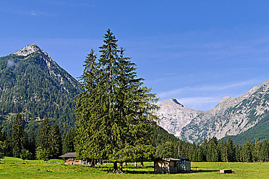 山谷,靠近,阿亨湖地区,提洛尔,奥地利