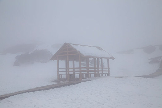 昆明,禄劝,轿子雪山,小屋