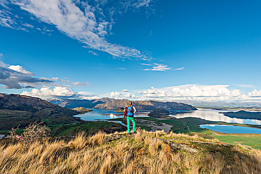 远足,远眺,瓦纳卡湖,岩石,顶峰,公园,奥塔哥,南部地区,新西兰,大洋洲