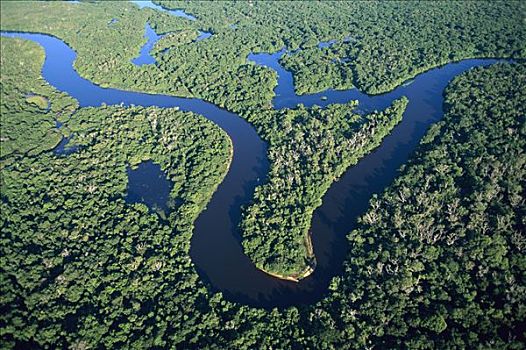 里奥内格罗,河,围绕,雨林,南方,潘塔纳尔,巴西