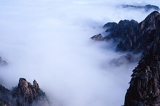 安徽黄山云海