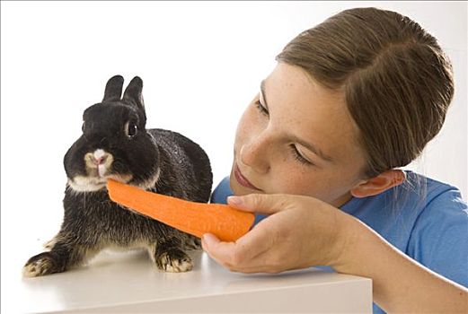 女孩,兔子,胡萝卜