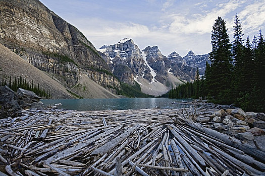 浮木,岸边,冰碛湖,落基山脉,班芙国家公园,艾伯塔省,加拿大