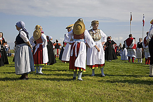 大,节日,传统服装,海利史虎格,石勒苏益格,黑白花牛,德国北部,德国