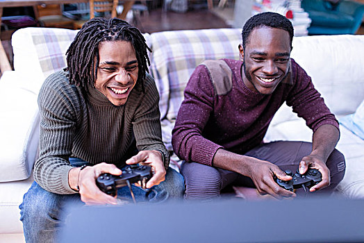 微笑,兄弟,玩,电子游戏,沙发