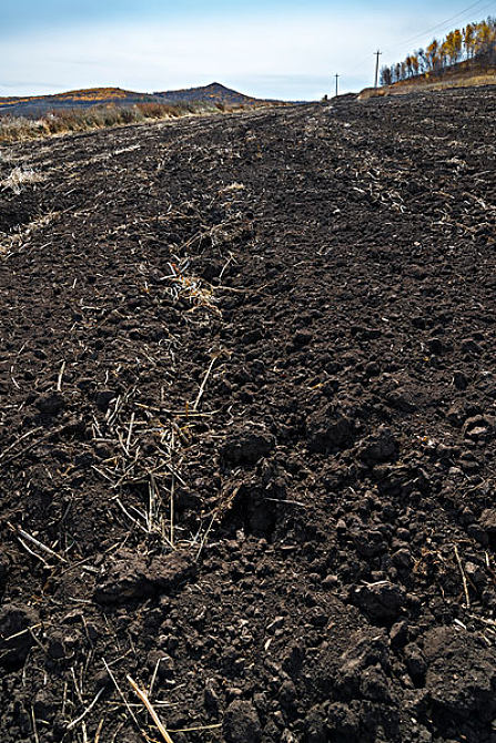 黑土地图片_黑土地图片素材_黑土地图片大全_黑土地高清图片_全景视觉