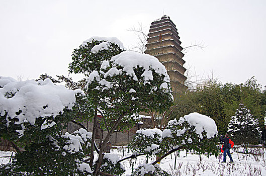 陕西西安小雁塔雪景