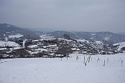 雪乡,雪村,吉林,临江市,村庄,山村,乡村,冬季,雪野,寒冷,农家,接待,旅游,松岭,东北,风情