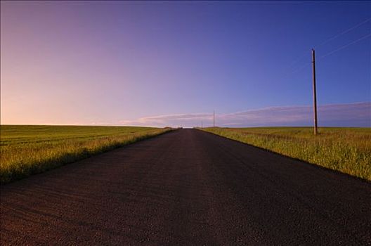 路,乡间小路,加拿大,草原,艾伯塔省