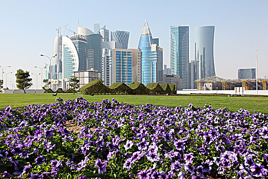 花,多哈,市区,卡塔尔,中东