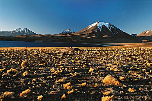 智利,高原,国家级保护区,湖,日落,大幅,尺寸